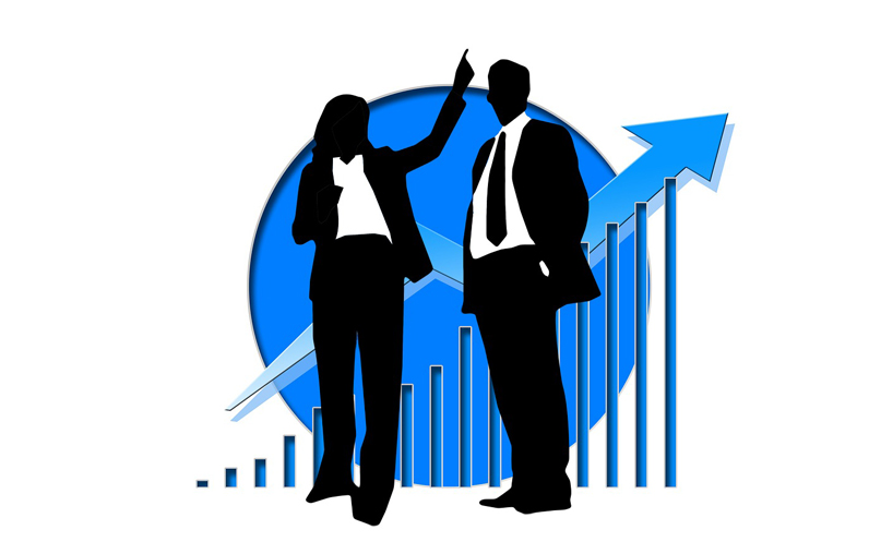 Financial Results - Dolfin Rubbers Limited